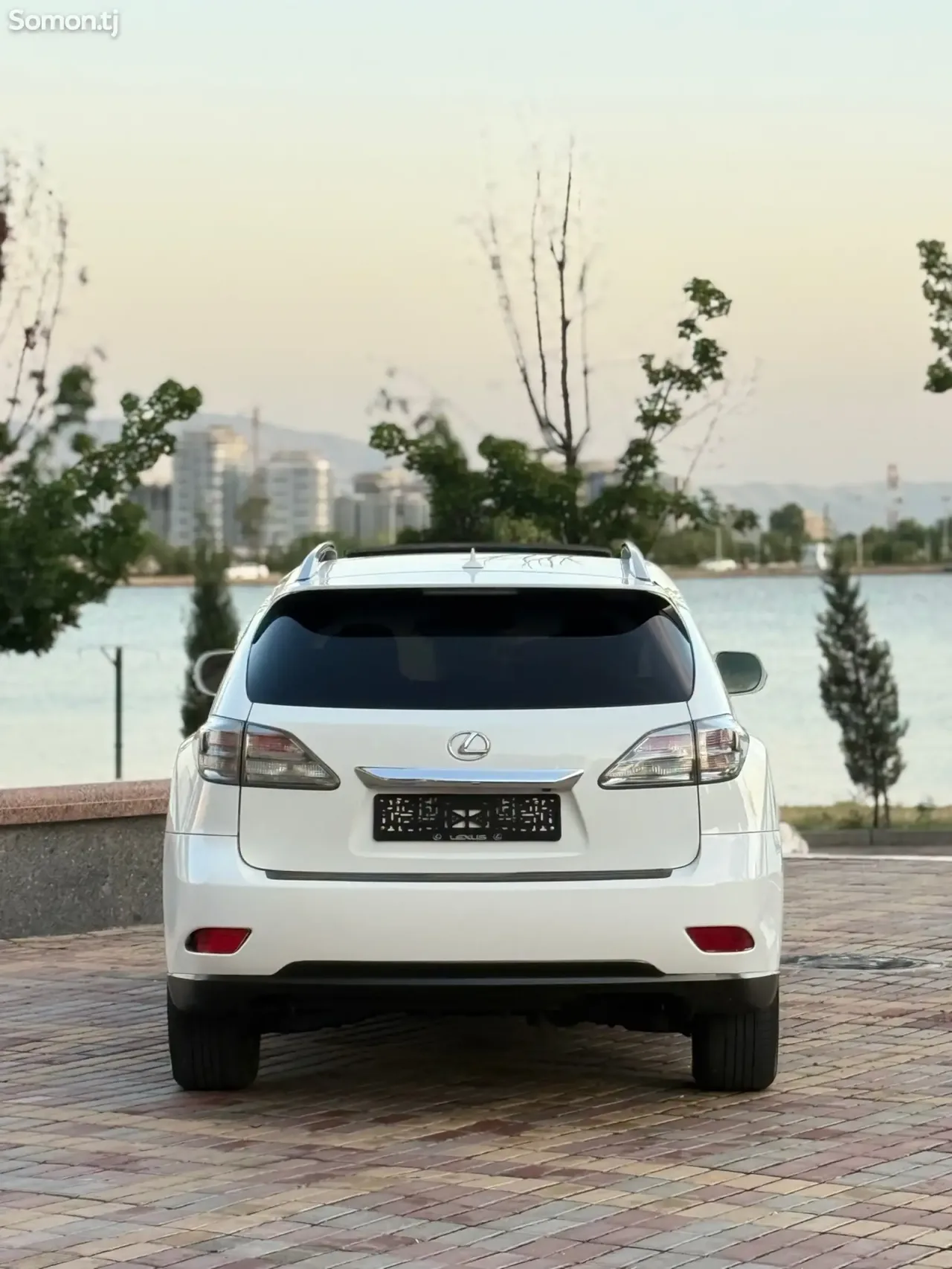 Lexus RX series 2010 · 3.5 AT