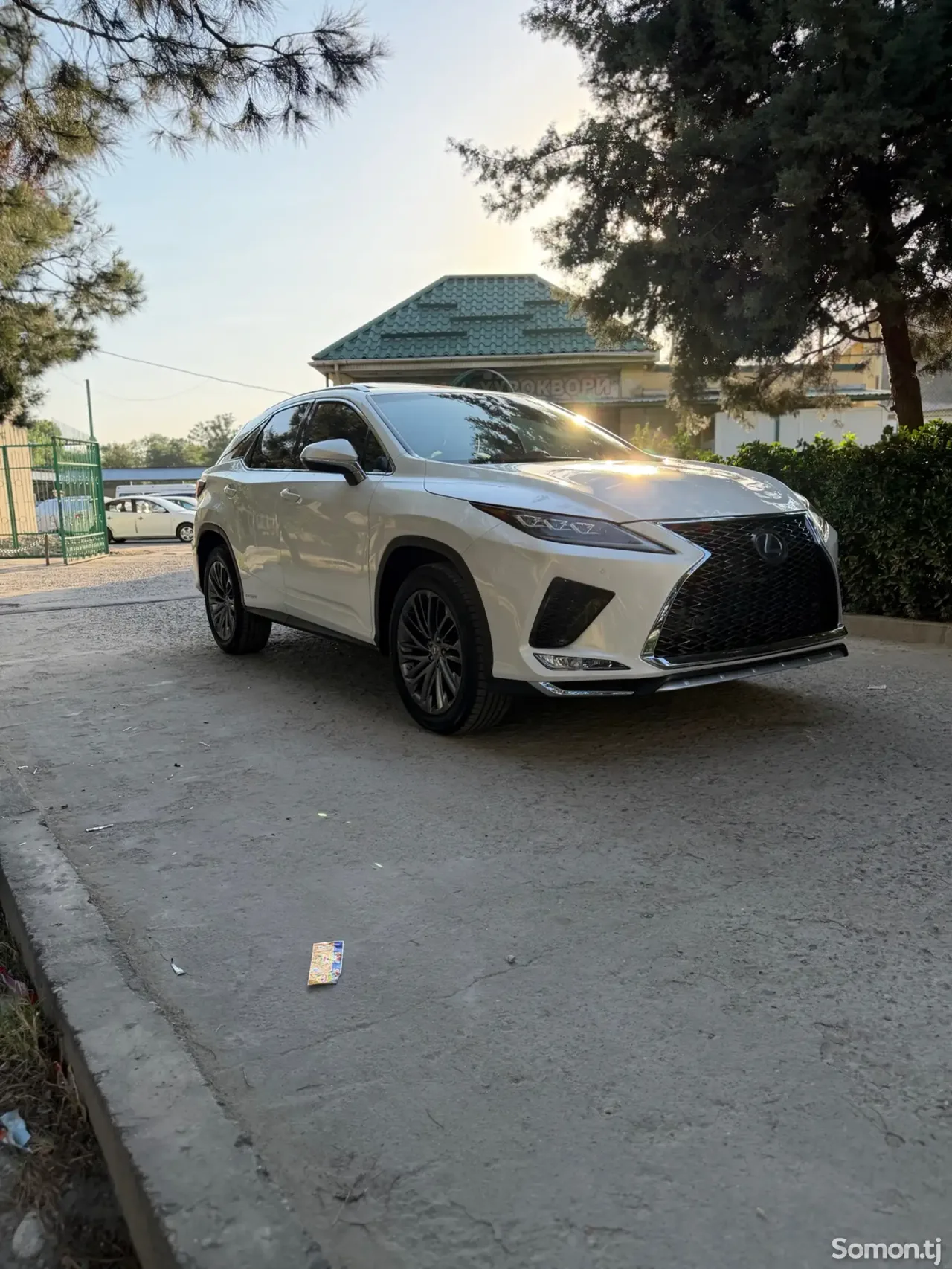Lexus RX series 2019 · 4.5 AT