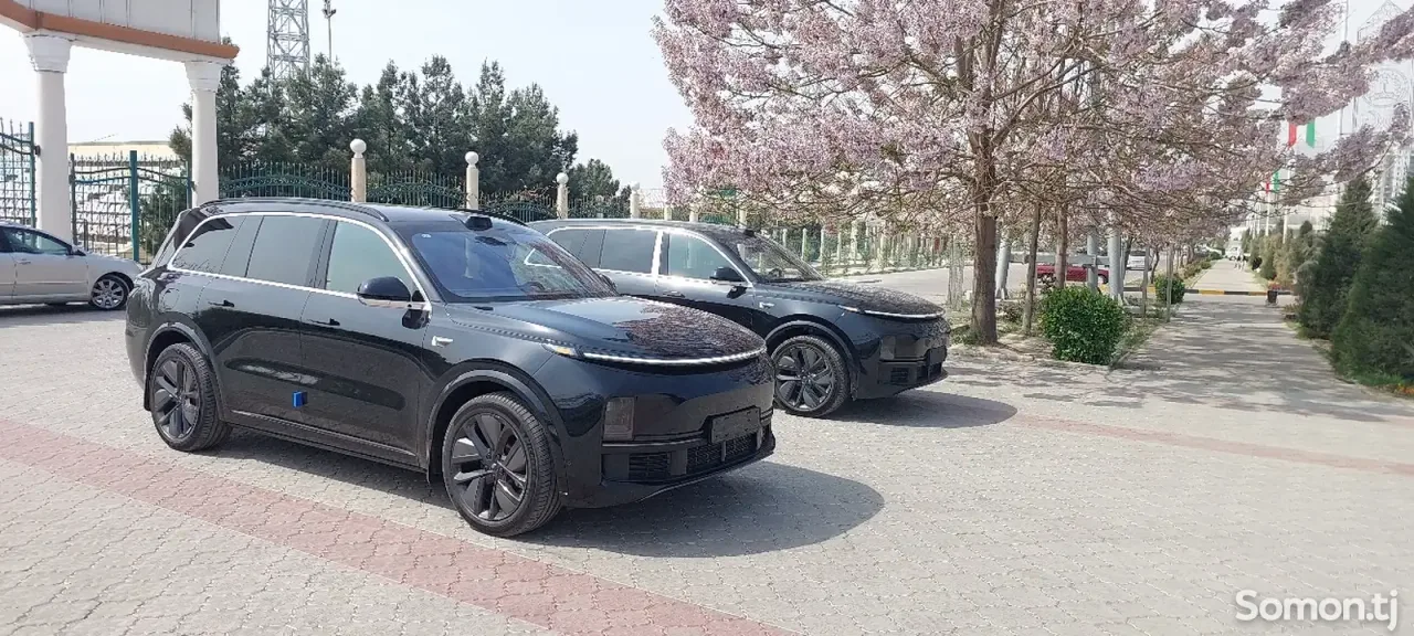 Li Auto (Lixiang) L9 2025 · 1.5 AMT