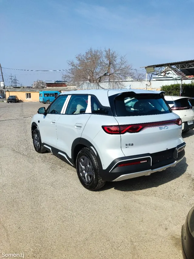 BYD Yuan Up 2025 · AMT