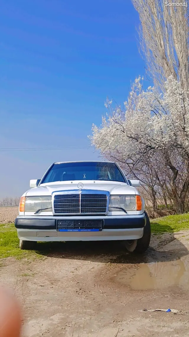 Mercedes-Benz W124 1991 · 2.0 MT