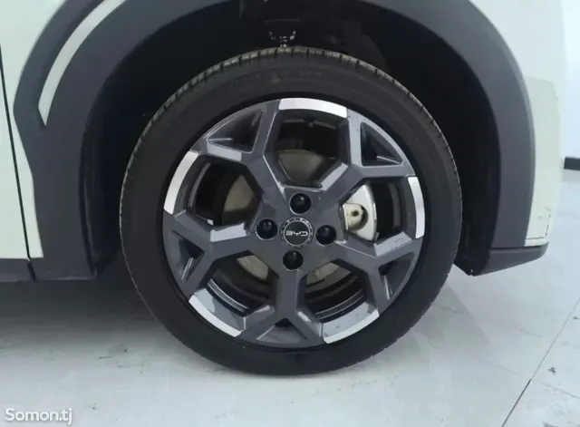 BYD Seagull 2024 · AT