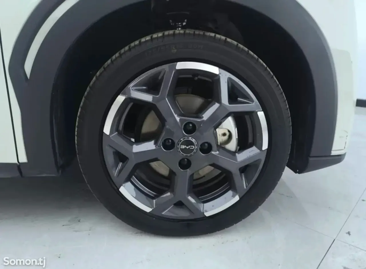BYD Seagull 2024 · AT