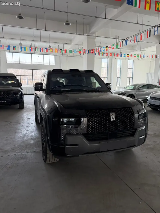 BYD Другие модели 2025 · 2.0 AT