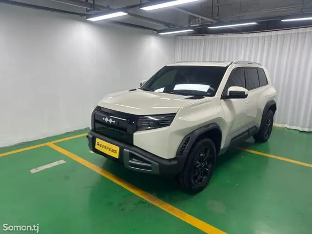 BYD Leopard 3 2025 · AT