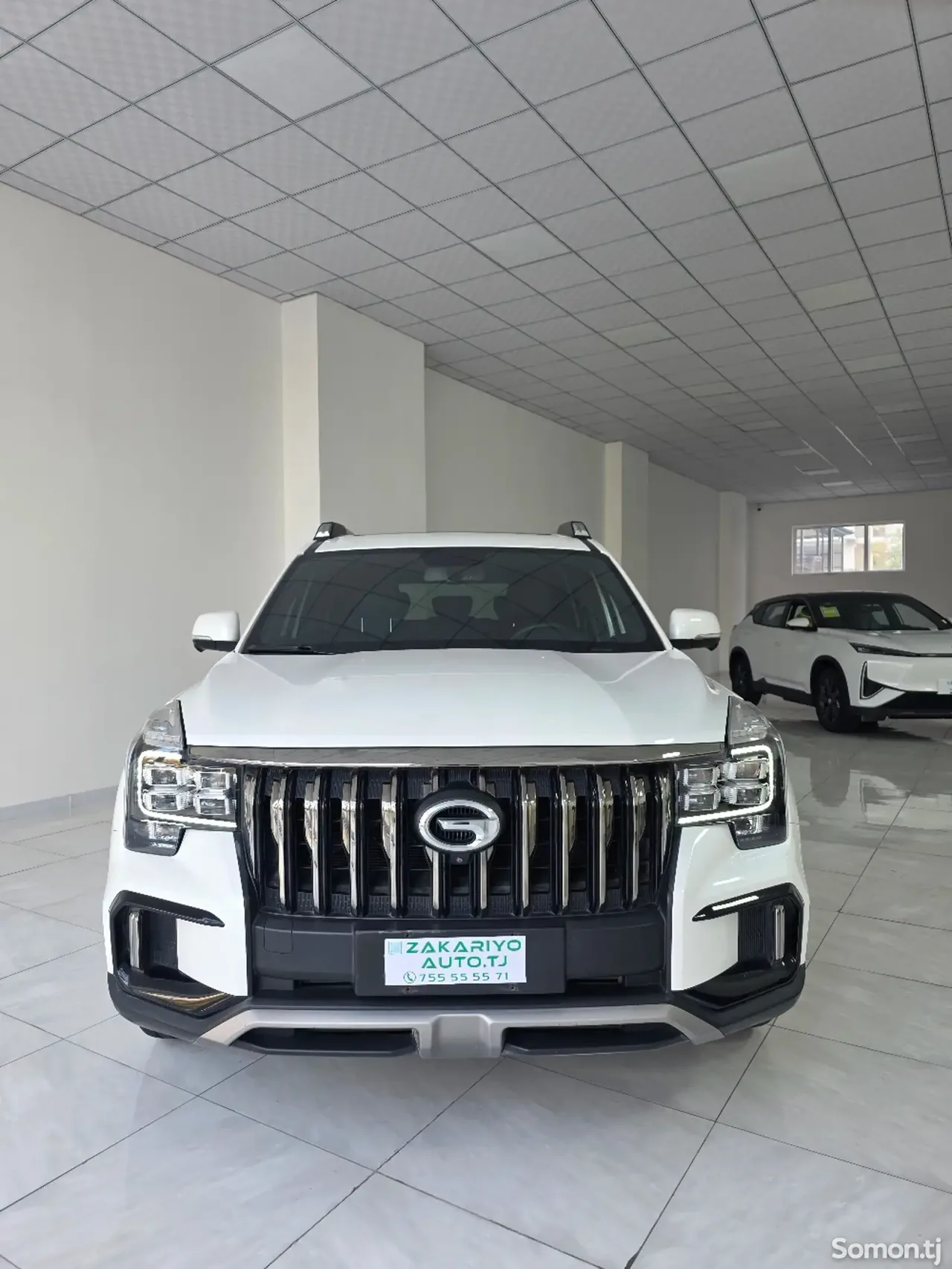 GAC Trumpchi GS8 2020 · 2.0 AT