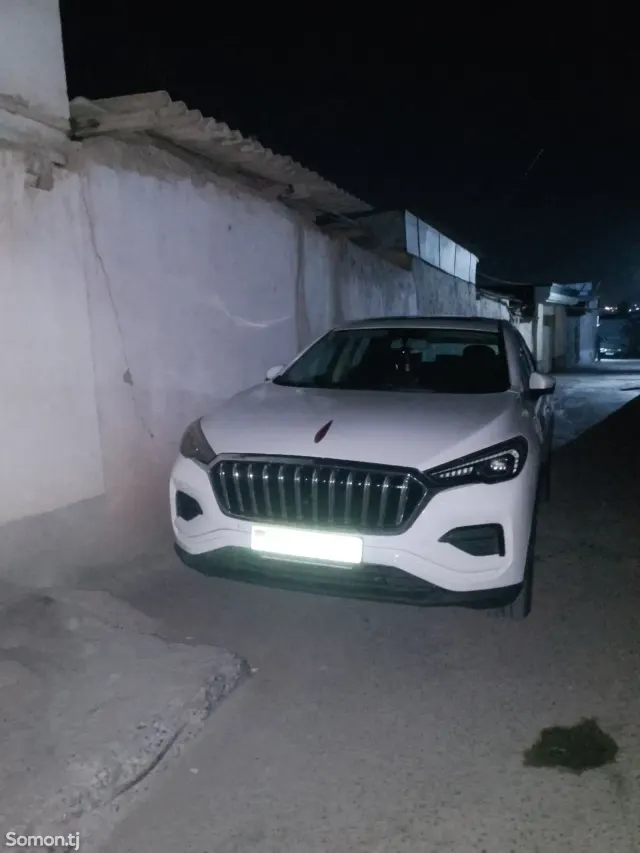 Hongqi E-HS9 2019 · AT