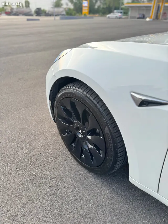 Tesla Model 3 2021 · AT