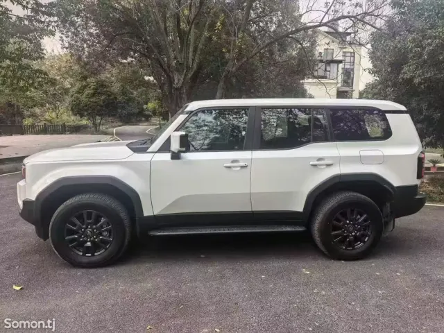 Toyota Land Cruiser Prado 2025 · 2.5 AT