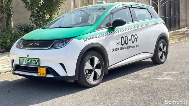 BYD Dolphin 2024 · AT