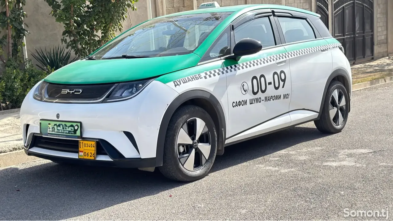 BYD Dolphin 2024 · AT