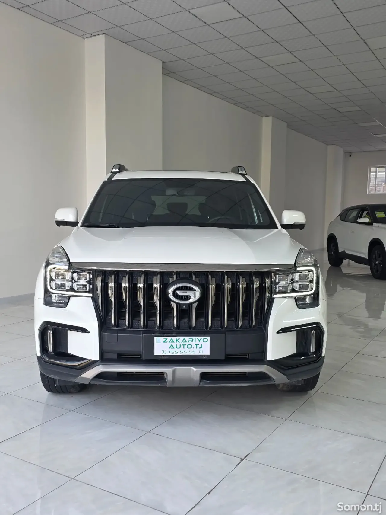 GAC Trumpchi GS8 2020 · 2.0 AT