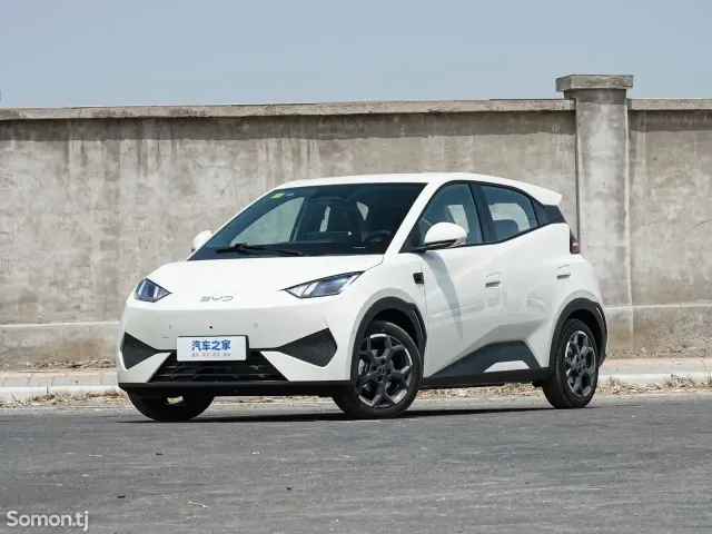 BYD Seagull 2025 · AT