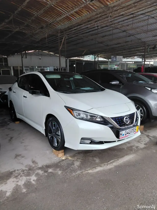 Nissan Leaf 2020 · AT