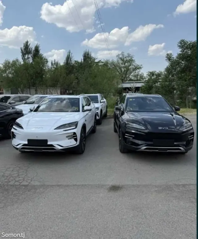 BYD Song Plus 2025 · 2.0 AMT