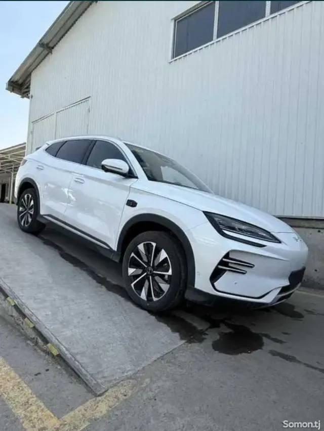 BYD Song Plus 2025 · AMT