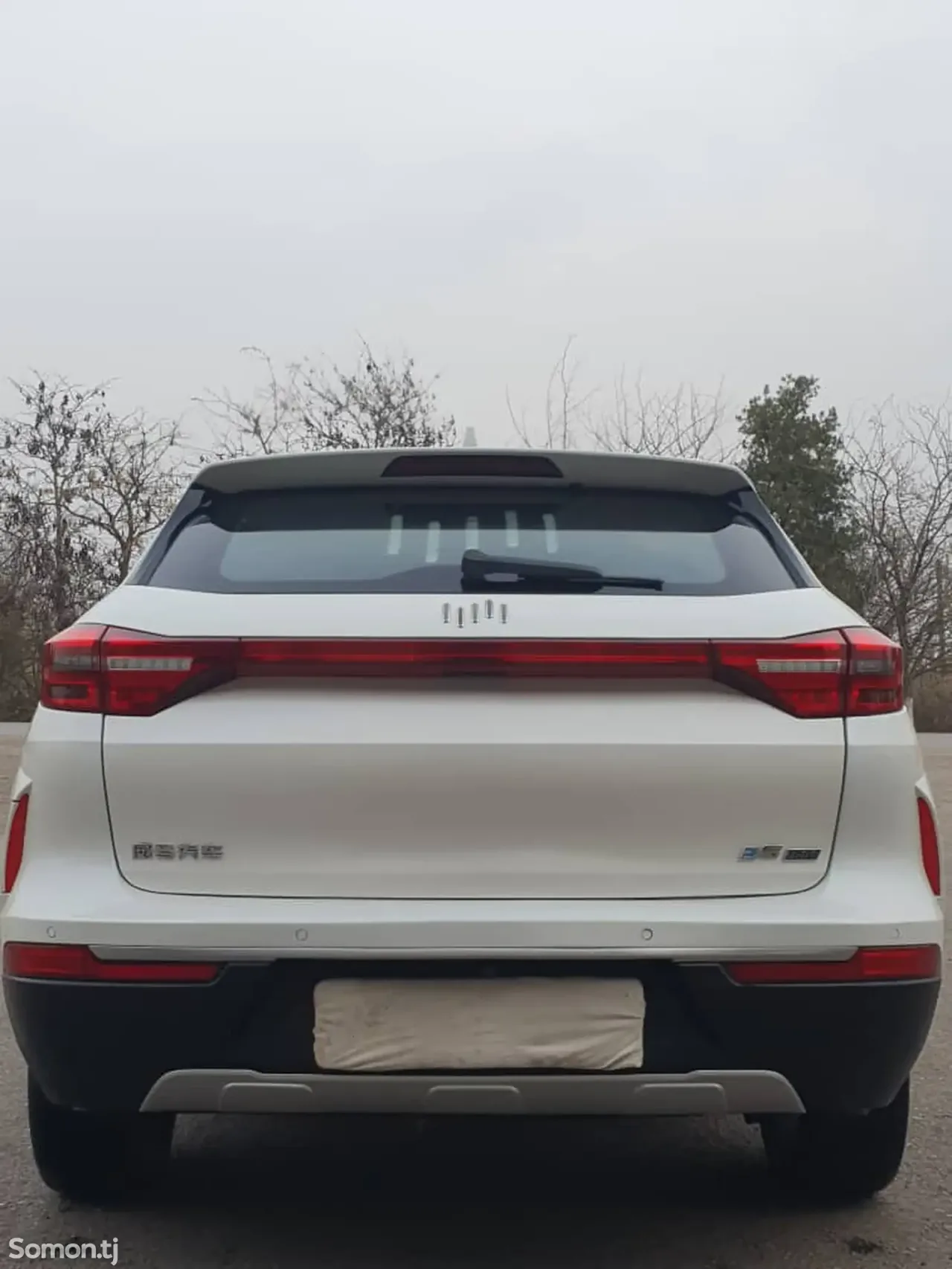 Weltmeister EX5 2019 · AT