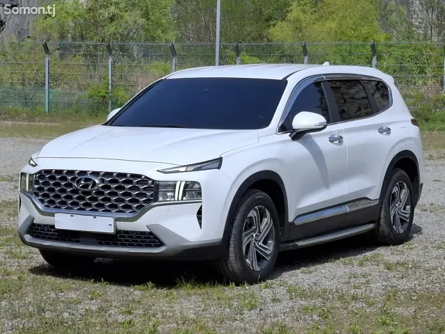 Hyundai Santa Fe 2020 · 2.2 AT