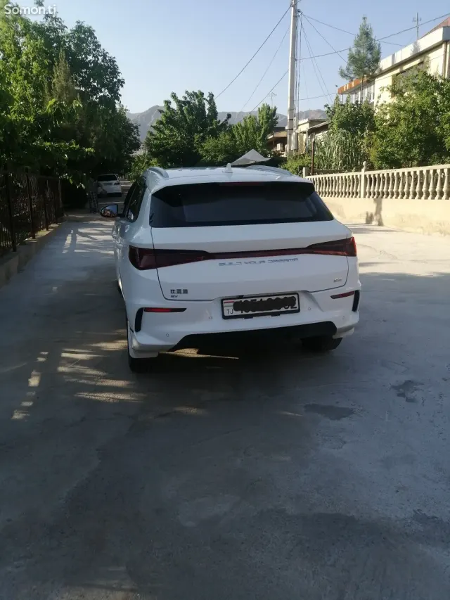 BYD E2 2024 · 1.0 AT