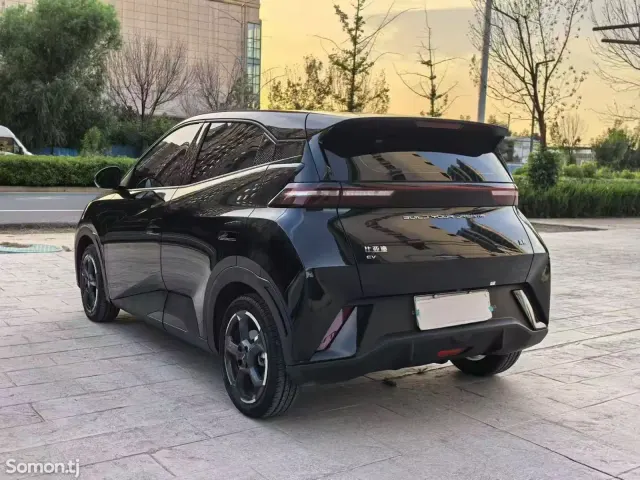 BYD Seagull 2023 · AT