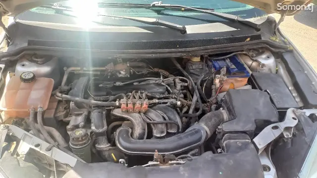 Ford Focus 2006 · 1.6 MT