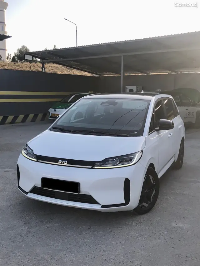 BYD D1 2021 · 2.0 AT