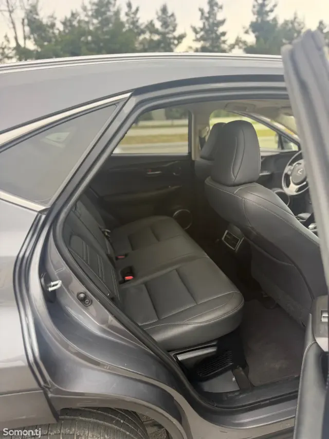 Lexus NX series 2021 · 2.0 AT