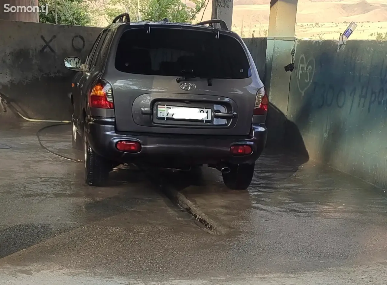 Hyundai Santa Fe 2004 · 2.0 MT