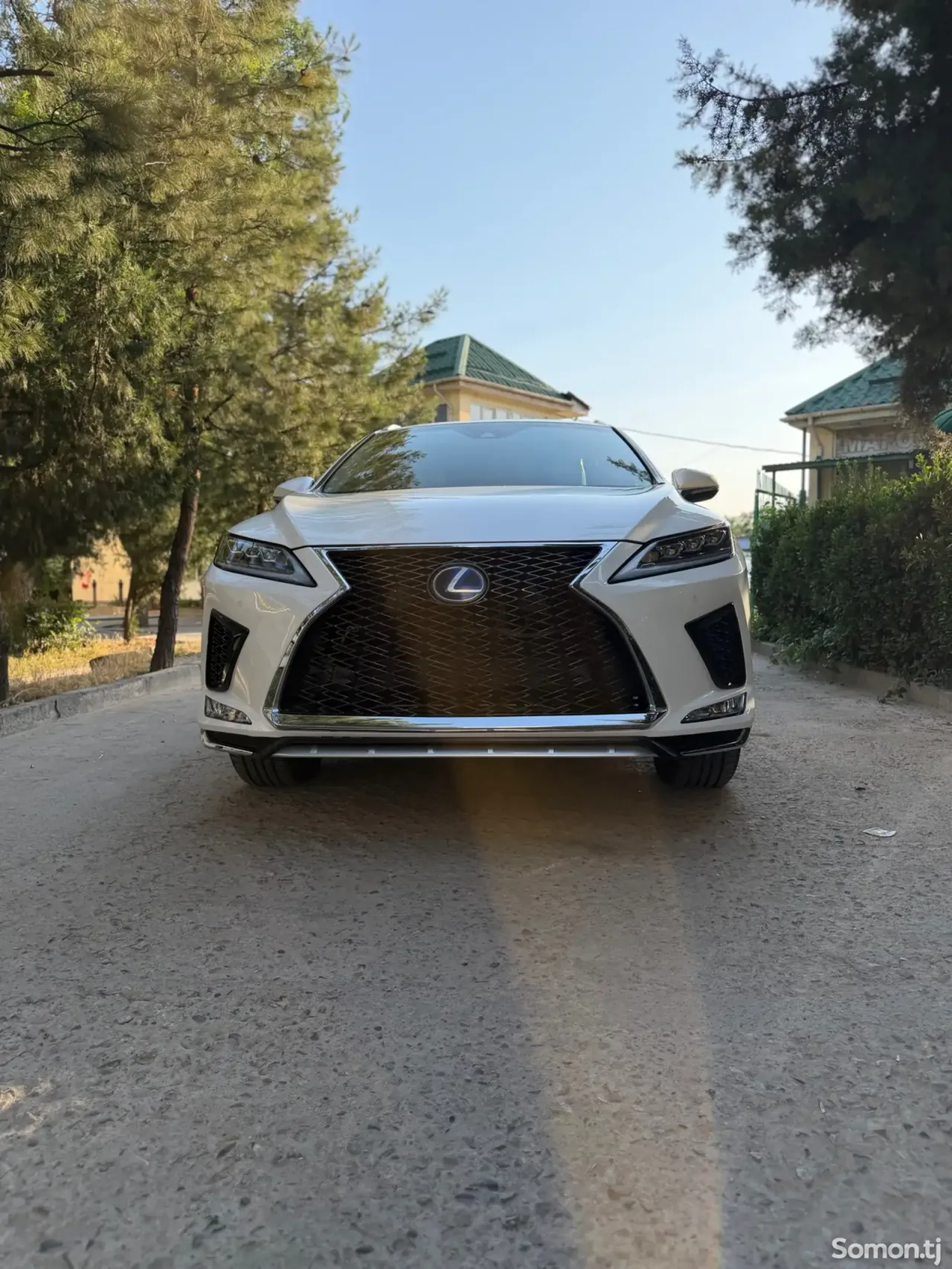 Lexus RX series 2019 · 4.5 AT