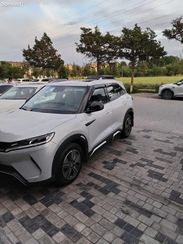 BYD Yuan Up 2024 · AT