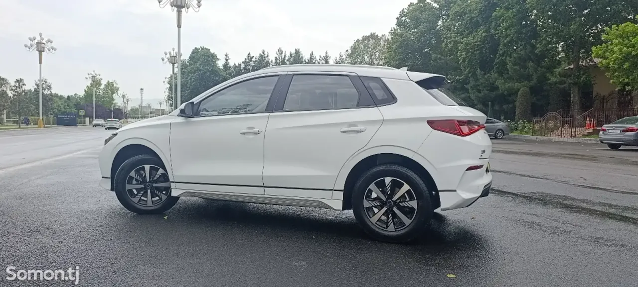 BYD E2 2025 · AMT