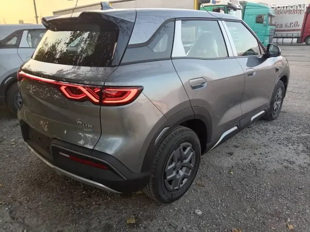 BYD Yuan Up 2025 · AMT