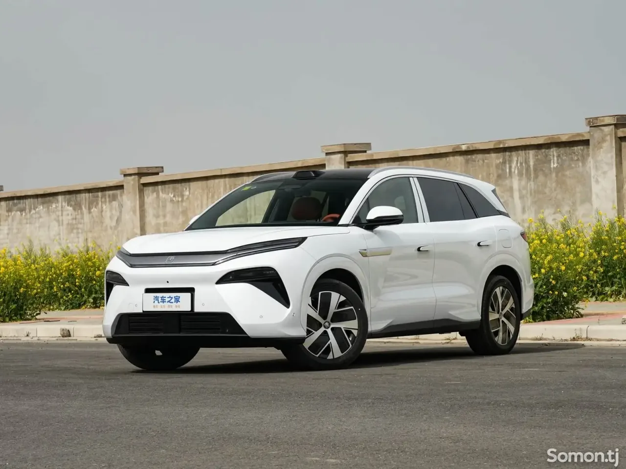 BYD Tang 2025 · AT