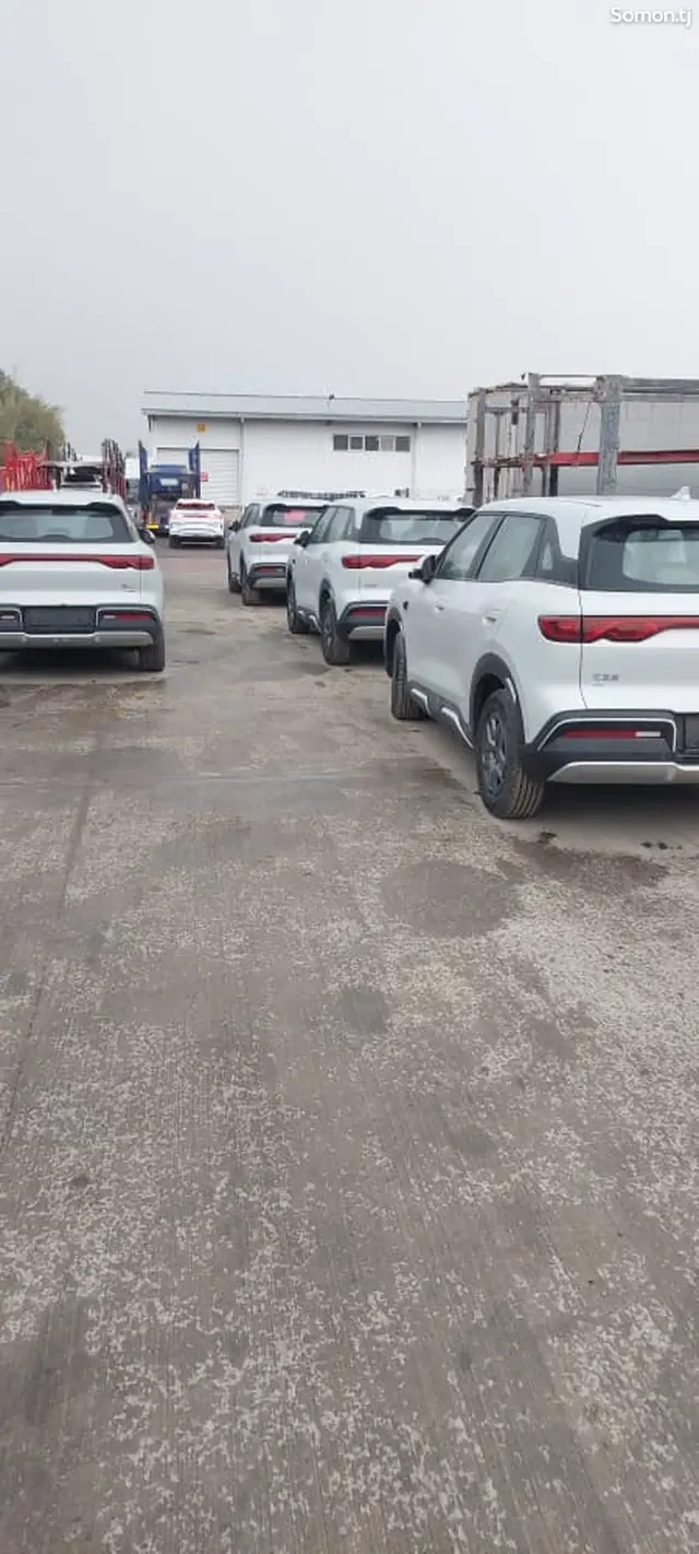 BYD Yuan Up 2025 · AMT