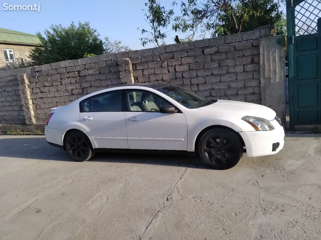 Nissan Maxima 2008 · 3.5 AT