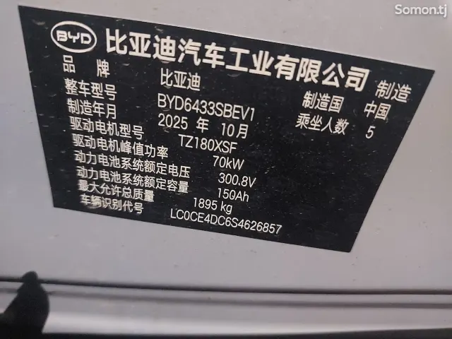 BYD Yuan Up 2025 · AMT