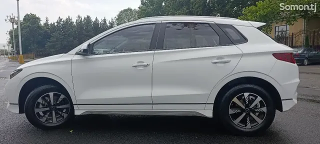 BYD E2 2025 · AMT
