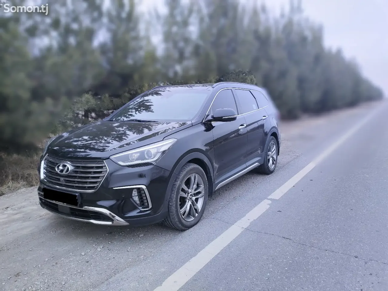 Hyundai Maxcruz 2017 · 2.2 AT
