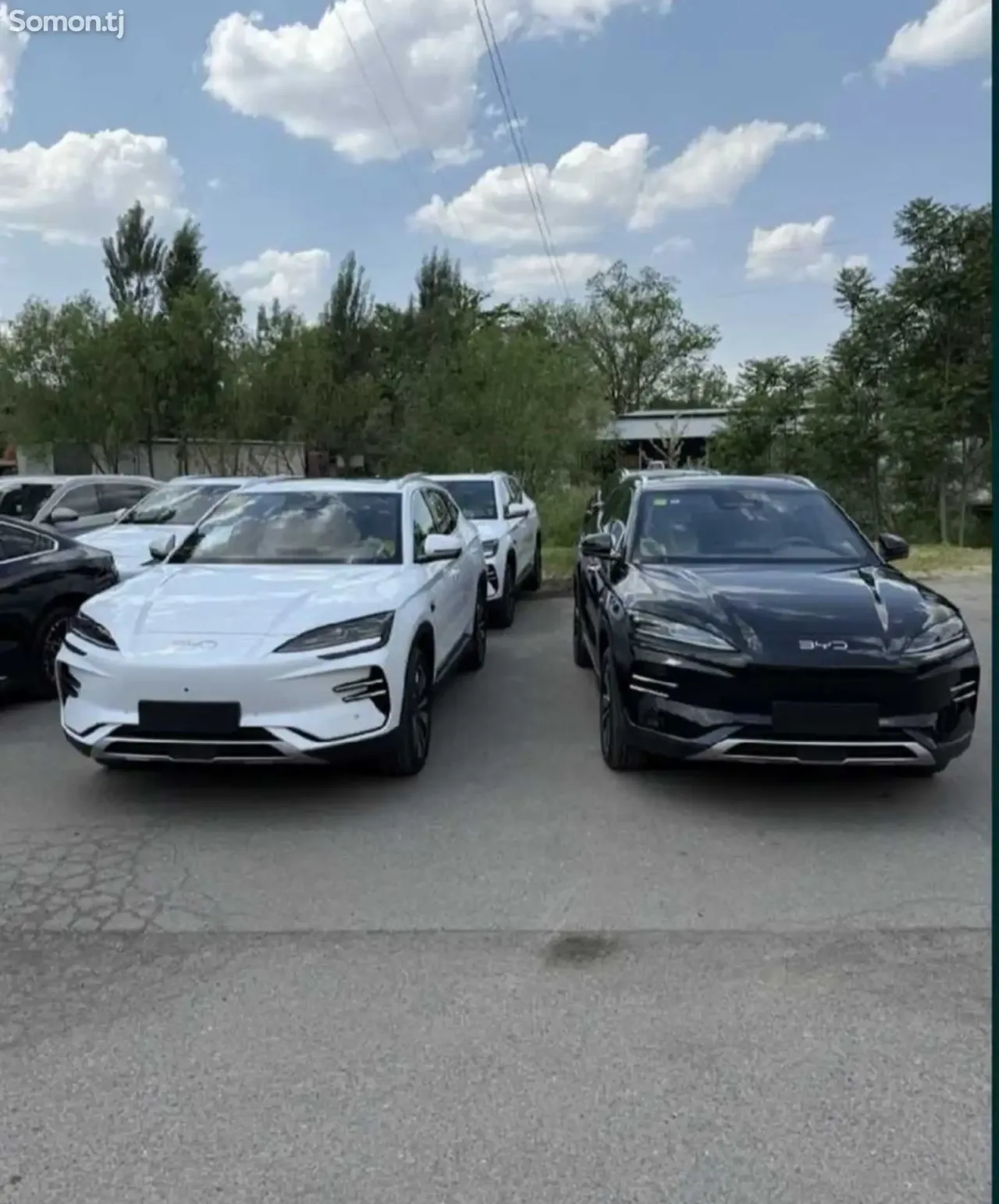 BYD Song 2025 · 2.1 AMT