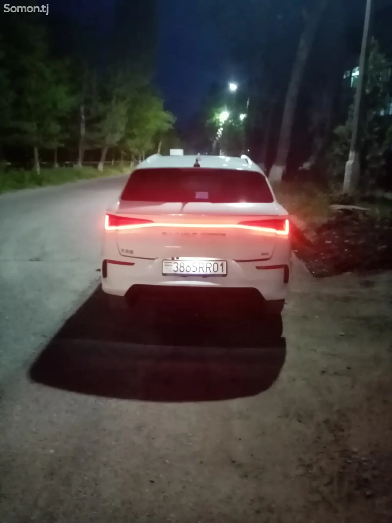 BYD E2 2019 · MT
