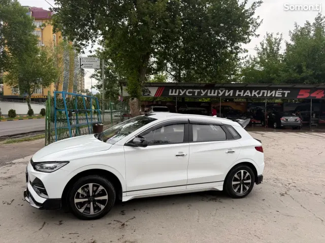 BYD E2 2024 · AT