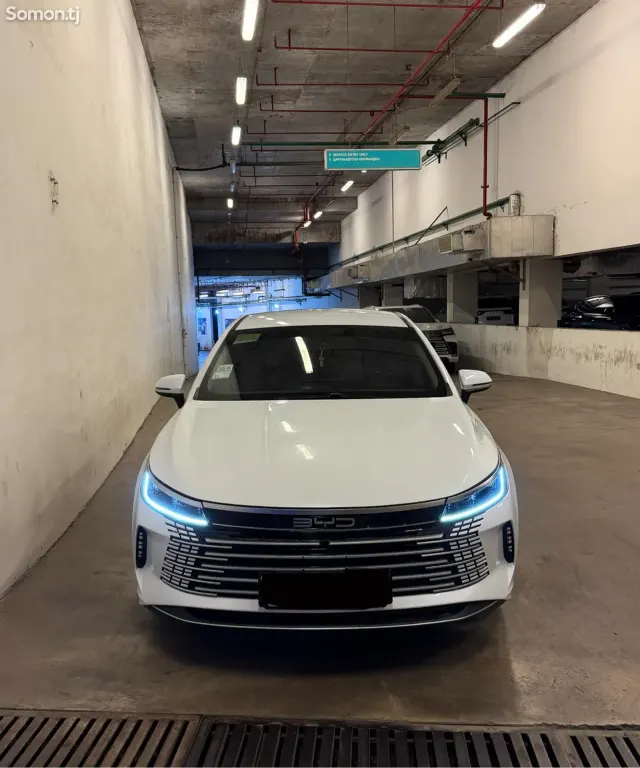 BYD Другие модели 2024 · 1.5 AT