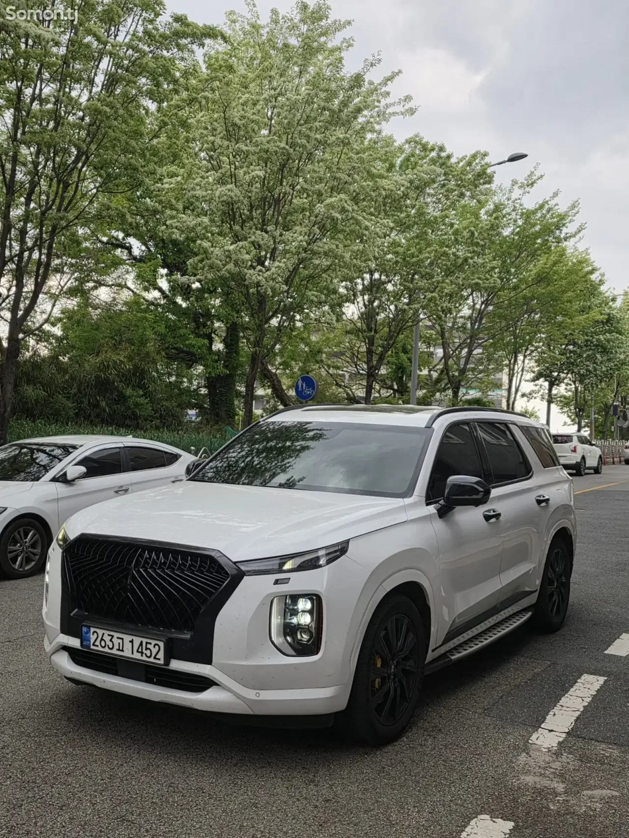 Hyundai Palisade 2019 · 3.8 AT
