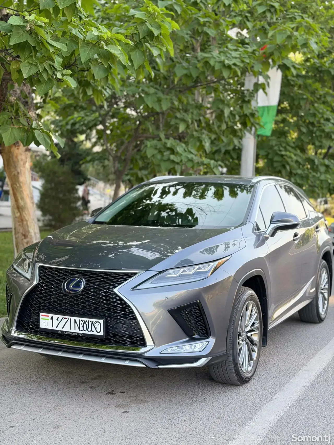 Lexus RX series 2022 · 4.5 AT