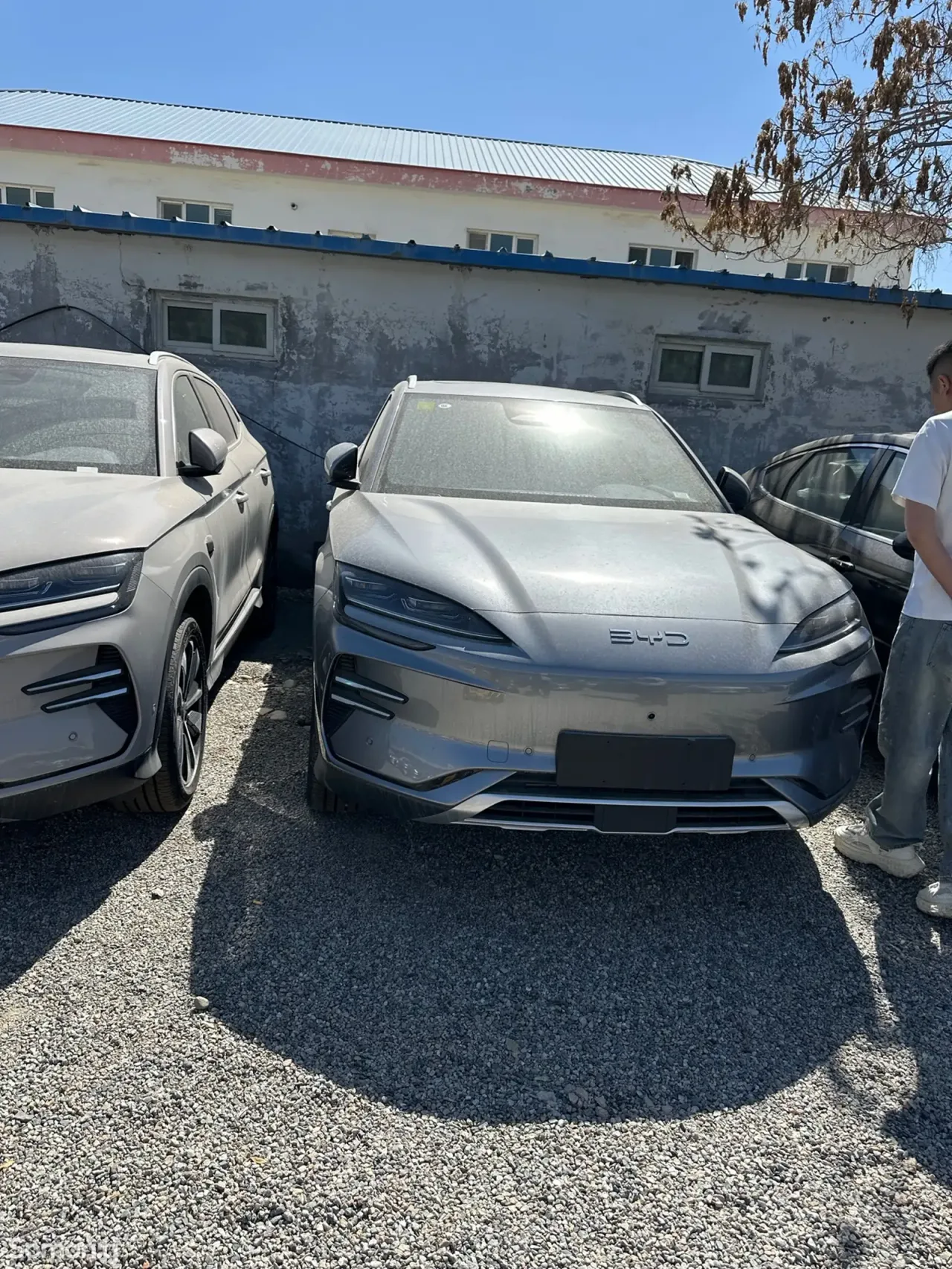BYD Song Plus 2026 · AT