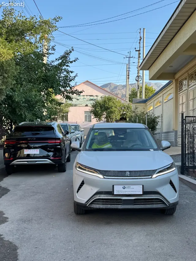 BYD Yuan Up 2025 · AMT
