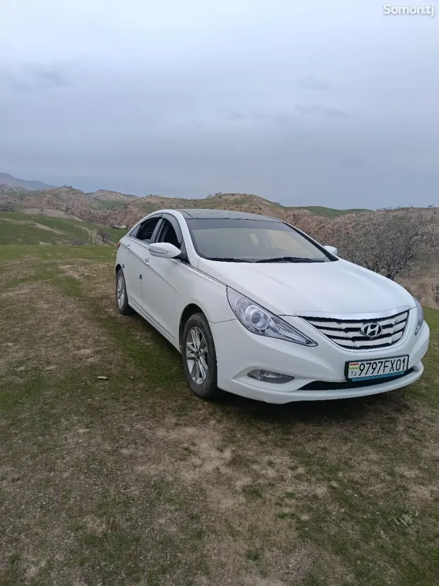 Hyundai Sonata 2010 · 2.0 AT