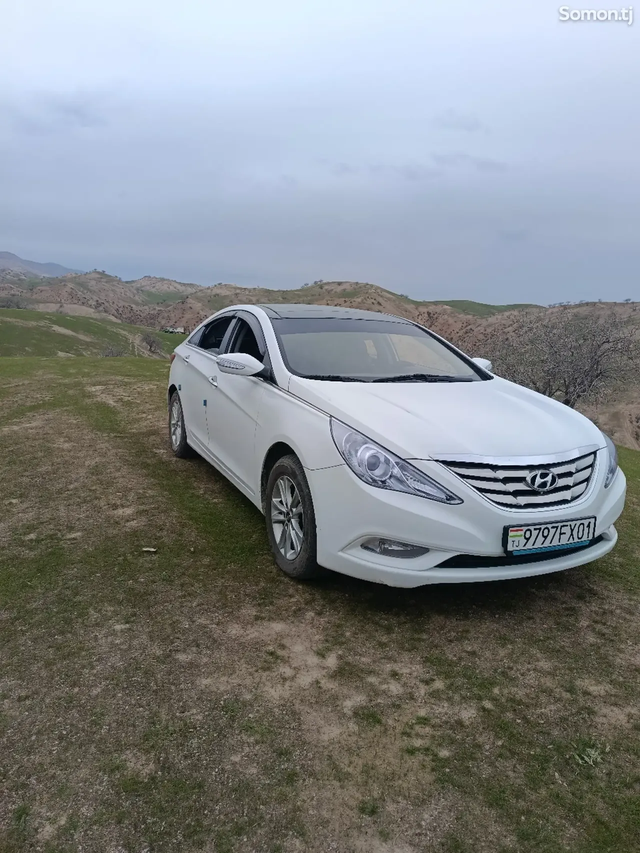 Hyundai Sonata 2010 · 2.0 AT