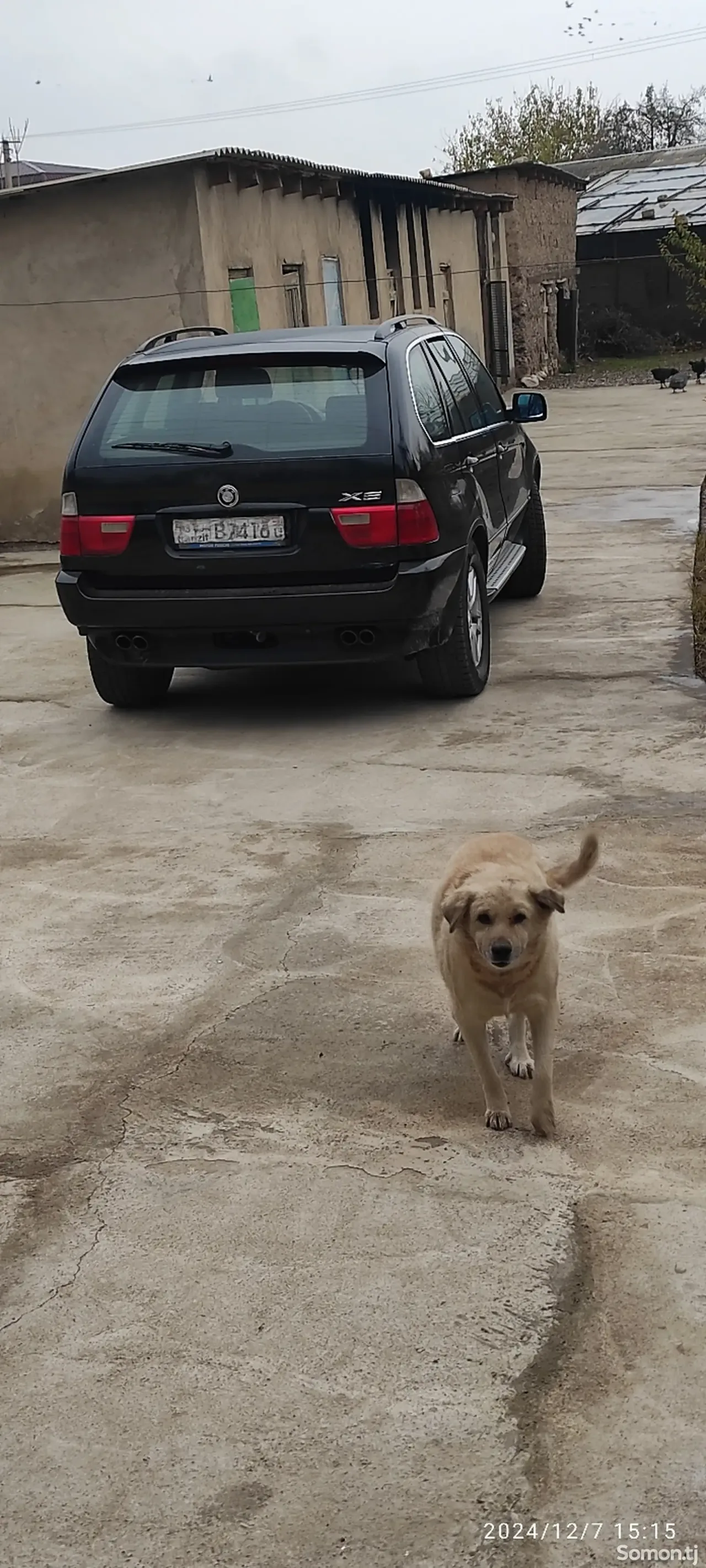 BMW X5 2003 · 3.0 AT