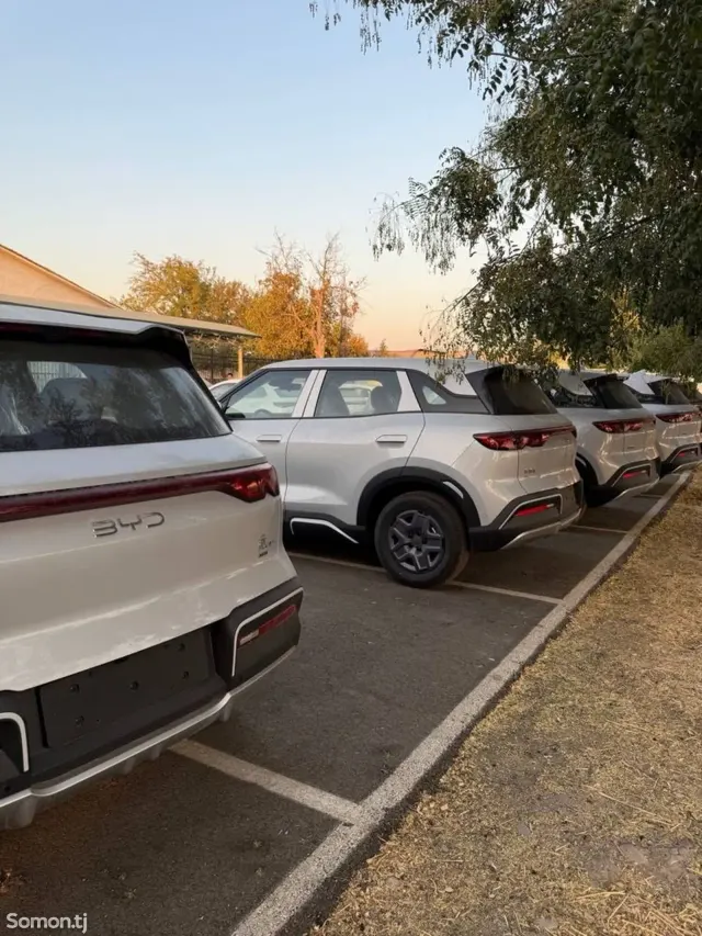 BYD Yuan Up 2025 · AMT
